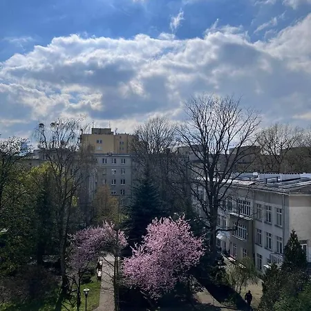 In The Old Town - Stare Miasto , Wi-fi - By Hik